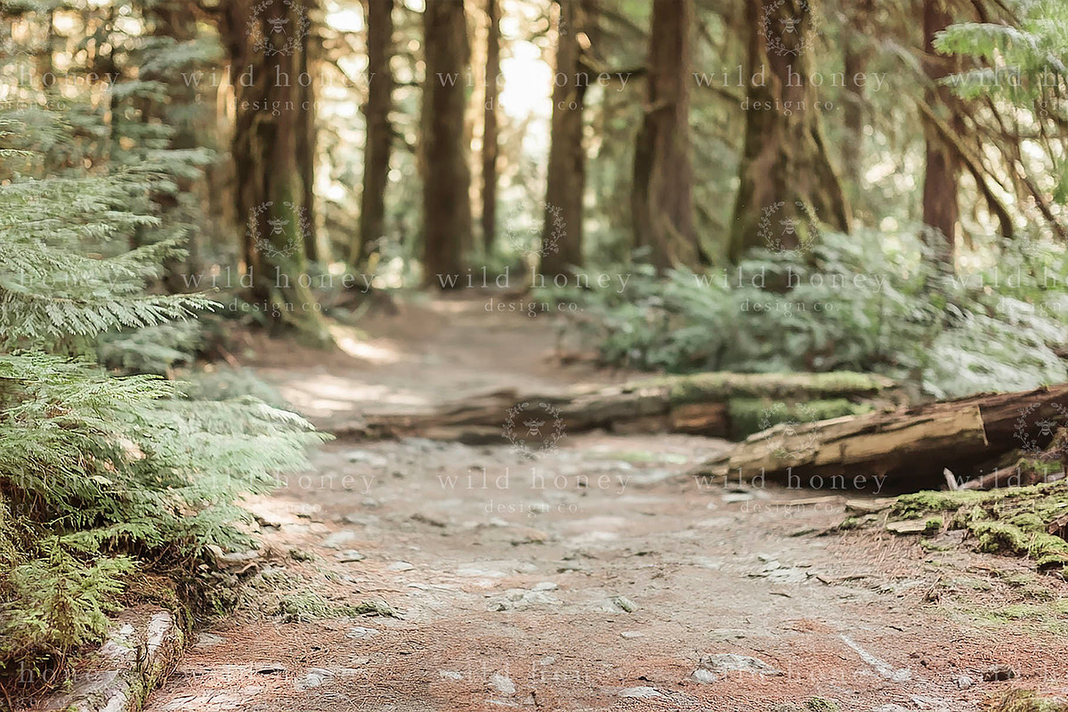 Sunny Woodland Digital Backdrop, a Layer Style Add-On by Wild Honey Design Co. (Photo 2 of 2)
