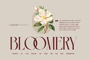 Cogofonte - Modern Geometric Serif, a Serif Font by Qweera Studio (Thumbnail 2 of 12)