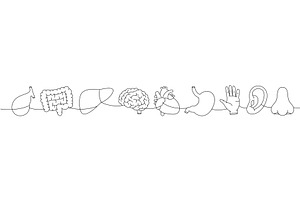 Set of human organ one line, a Healthcare Illustration by GraphiShop
