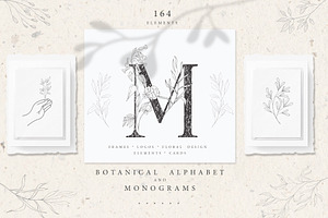 Botanical Alphabet & Monograms.