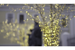 Golden christmas lights twinkling on, a Holiday Photo by Media Whale Stock