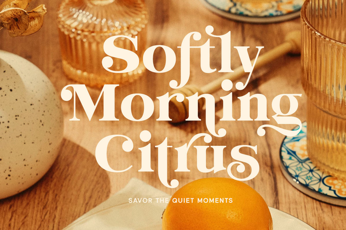 Evorine Stylish Serif, a Serif Font by Letterhend Studio (Photo 4 of 11)