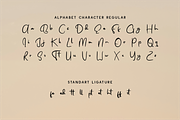 Tamyra Fyne - Bold Handwritten, a Handwritten Font by Indotype Foundry (Thumbnail 6 of 10)