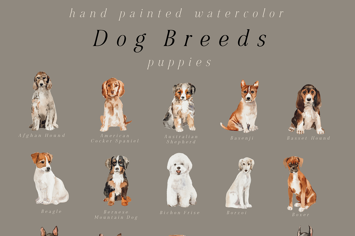 Dod Breeds - watercolor set, an Animal Illustration by Youksy (Photo 3 of 18)