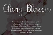 Aesthetic, a Handwritten Font by InermediaSTUDIO (Thumbnail 4 of 8)