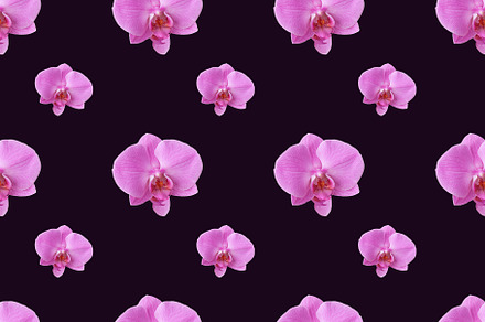 Seamless pattern of pink orchids
