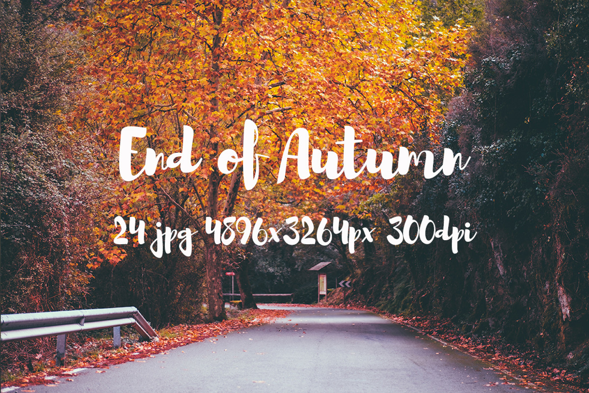 End of Autumn photo pack, a Templates & Theme by ApertureVintage (Photo 14 of 14)
