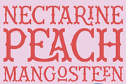 Wiley Decorative Latin & Greek Font, a Slab Serif Font by Molly Suber Thorpe (Thumbnail 10 of 16)
