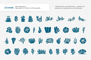 Ocean Life | Linocut collection, a Pattern Graphic by SappiStudio (Thumbnail 15 of 21)