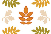 Autumn Oak Leaves Botanical Vector, a Background Graphic by Gfx Expert Team (Thumbnail 2 of 3)
