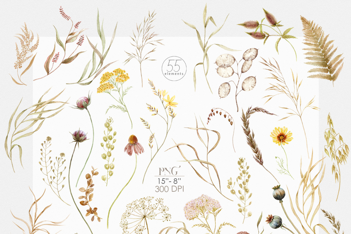 Wildflower fall watercolor clipart, a Decorative Illustration by ReachDreams (Photo 2 of 10)