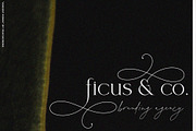 August Roma//Elegant Luxury Font Duo, a Handwritten Font by PeachCreme (Thumbnail 21 of 43)