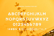 Wondra - Modern Sans Serif, a Sans Serif Font by Typeformers (Thumbnail 5 of 5)