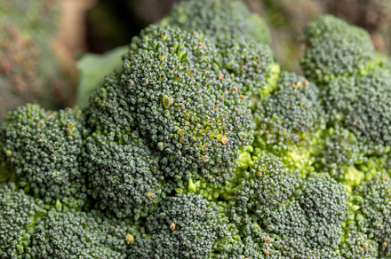 Green ripe broccoli in raw form, a Photo by MyPhotos