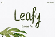 Leafy Extended Brush Font, a Script Font by Wild Ones (Thumbnail 1 of 8)