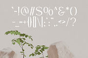 Prestige - Classy Serif Typeface, a Serif Font by HipFonts (Thumbnail 8 of 8)