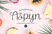 ULTIMATE .OTF FONT BUNDLE - 45 FONTS, a Script Font by Blush Font Co. (Thumbnail 13 of 13)