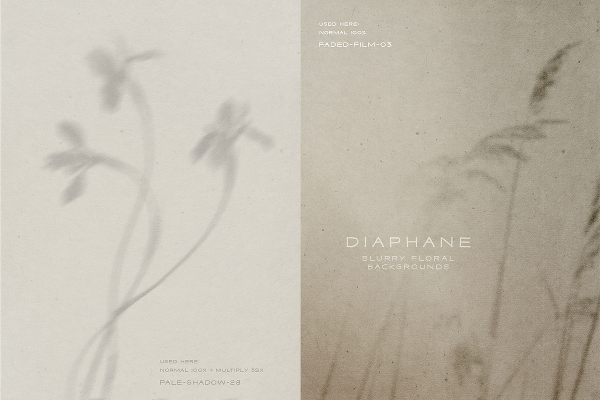 Diaphane - Blurry Floral Backgrounds, a Background Graphic by alonahaidash (Photo 7 of 16)