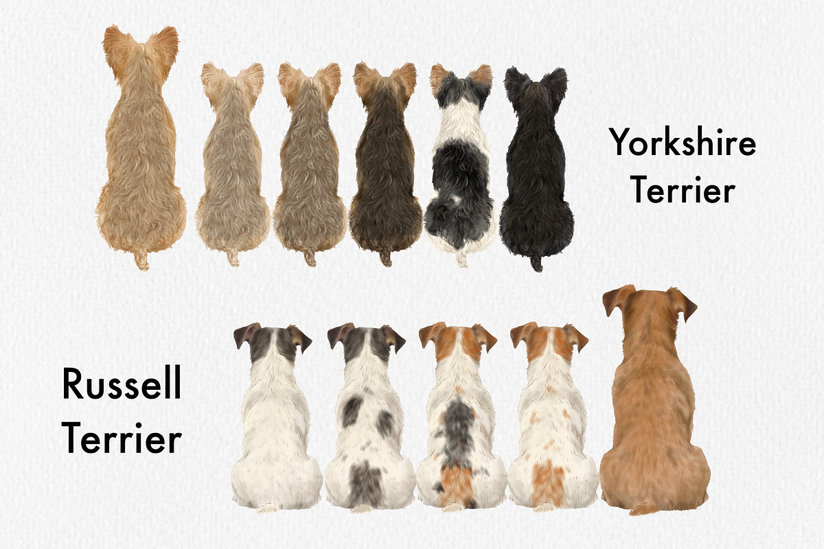 Watercolor Small Dog Breeds, an Animal Illustration by ColorfulPT (Photo 5 of 8)