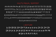 Qasengi | Japan font, a Serif Font by twinstd (Thumbnail 12 of 13)