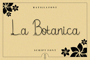 Ratilla Script Fonts