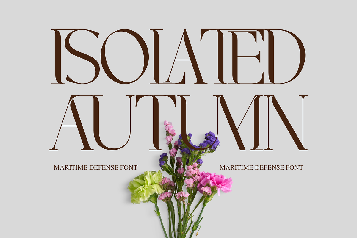 MARITIME DEFENSE - MODERN SERIF FONT, a Serif Font by 177Studio (Photo 2 of 8)