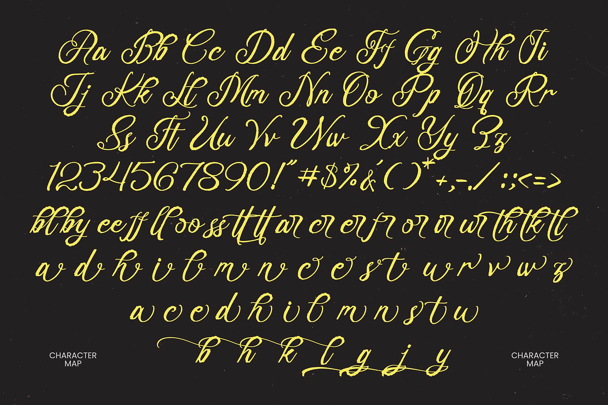 Delegatt Textured Elegant Script, a Script Font by stylishtype.co (Photo 10 of 10)
