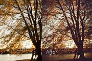 201 Wedding Lightroom Presets Bundle, an Action Add-On by PixelHive Pro (Thumbnail 5 of 33)