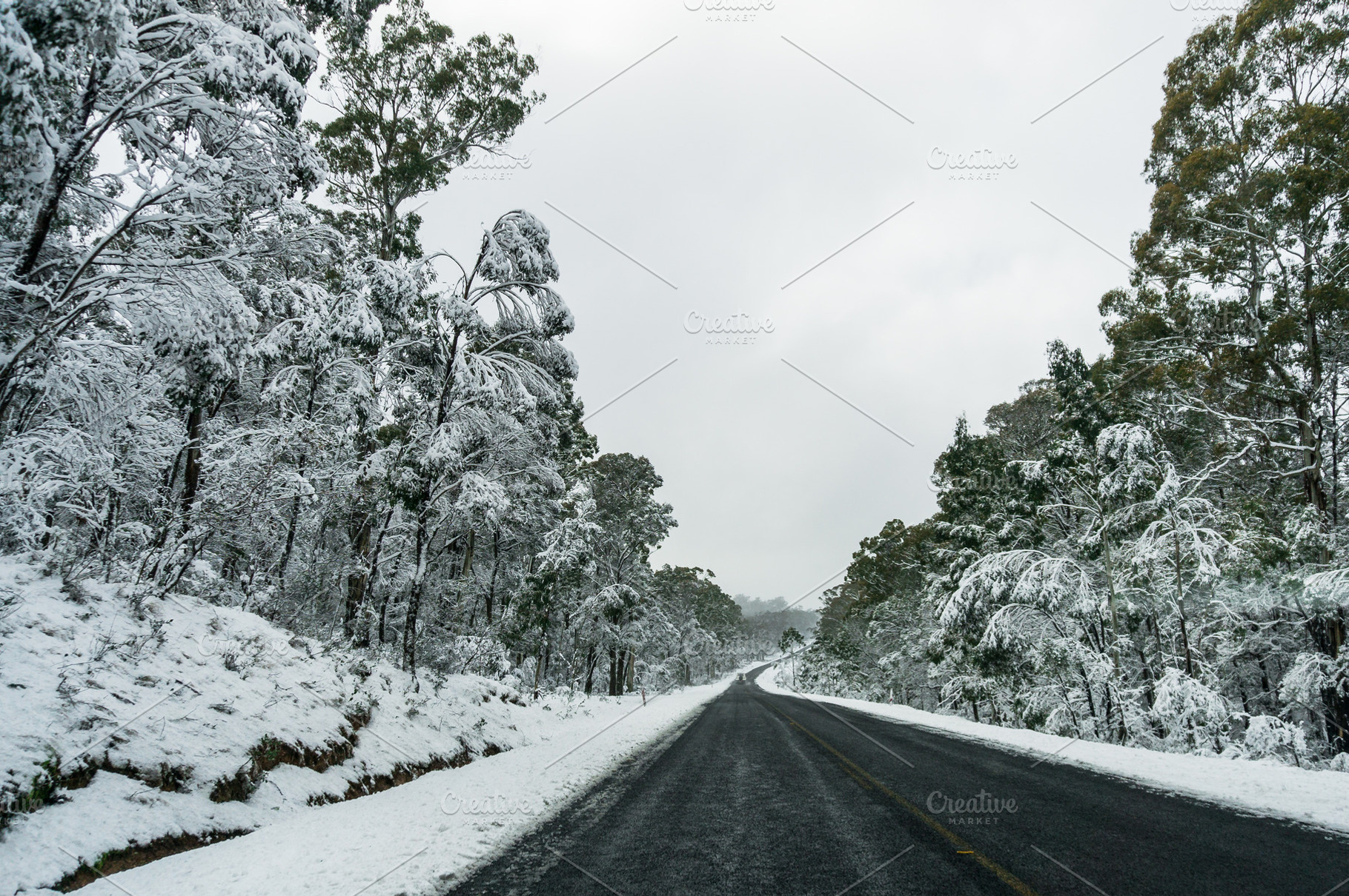 Winter landscape of countryside road, a Transportation Photo by EsmeHelit