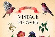 Watercolor Vintage Romantic Flowers, an Object Graphic by Kate Creative Studio (Thumbnail 2 of 10)