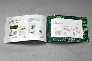 A5 Decorative Plants Brochure