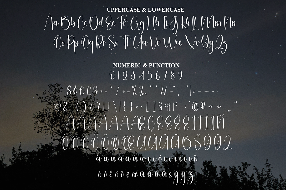 Midnight | Script Font, a Handwritten Font by Scratchones