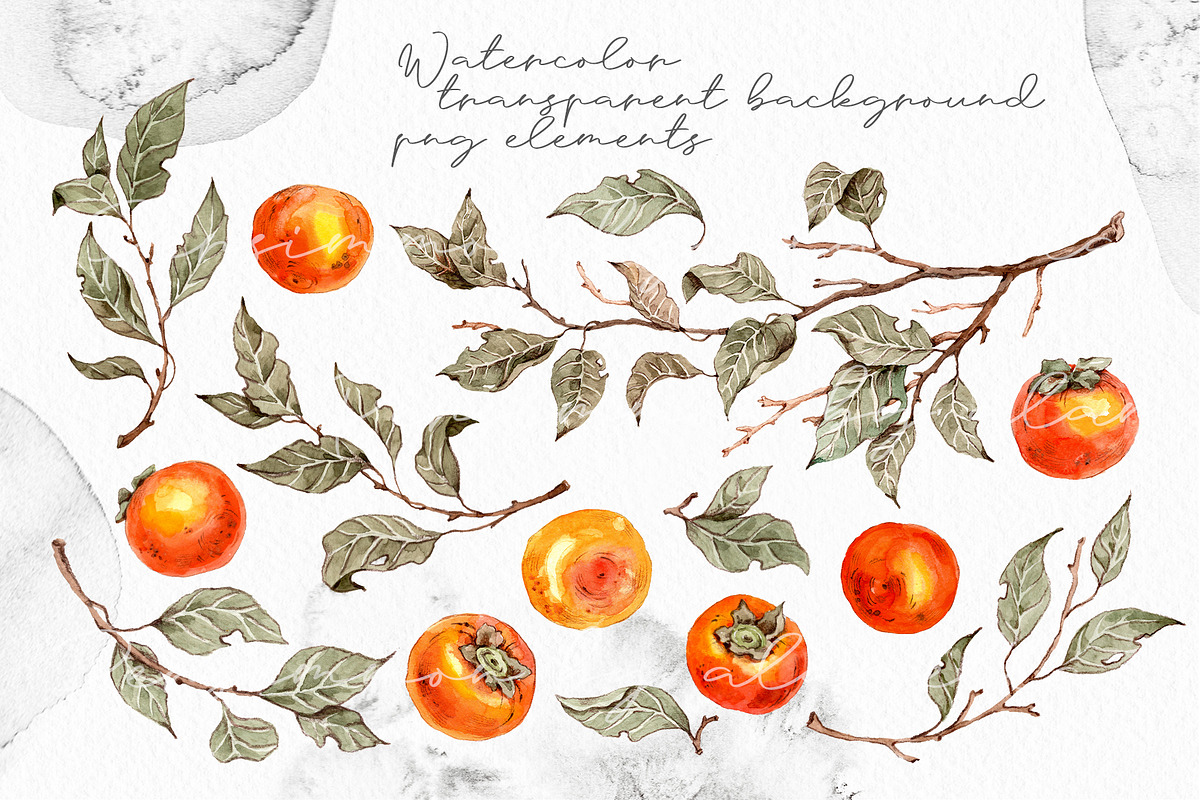 Persimmon Mediterranean ceramic tile, an Illustration by Alamella (Photo 11 of 11)