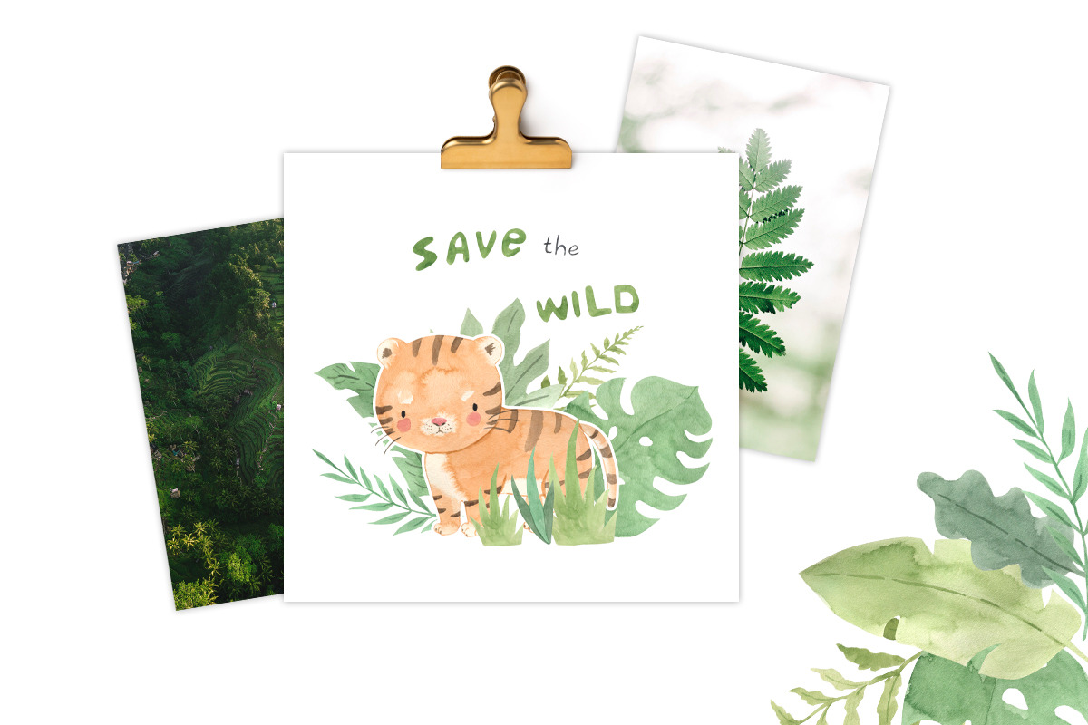 ETHICAL LIVING FRIENDS. Animals set, an Animal Illustration by OlliArtDesign (Photo 7 of 12)