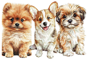 Watercolor Puppies Clipart, an Animal Illustration by PrintHaven Designs (Thumbnail 8 of 10)