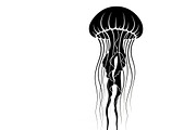 Ocean Marine Animal Silhouette, an Illustration by Amazin_art (Thumbnail 18 of 31)
