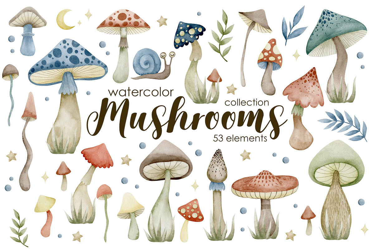 Watercolor mushrooms collection., a Decorative Illustration by Kira Konoshenko (Photo 1 of 12)