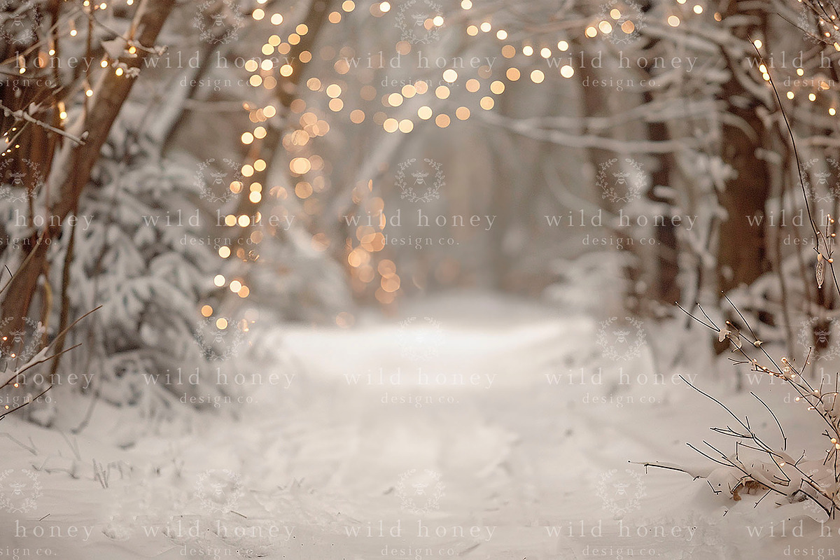 Winter Lights Digital Backdrop, a Layer Style Add-On by Wild Honey Design Co. (Photo 2 of 2)