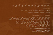Melankoly Asteria Monoline Font, a Script Font by Letterena Studios Script (Thumbnail 14 of 15)