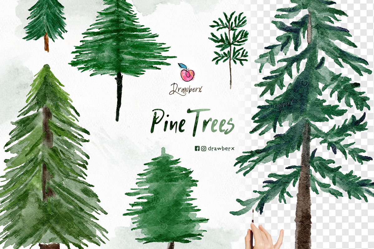 Christmas Tree illustration, png 143, an Illustration by Drawberx (Photo 3 of 9)