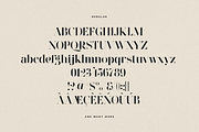 Wonderz Typeface — A Modern Serif, a Serif Font by VP Fonts (Thumbnail 15 of 16)