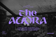 10+ MODERN FONT BUNDLE SALE, a Serif Font by delipensil (Thumbnail 23 of 27)
