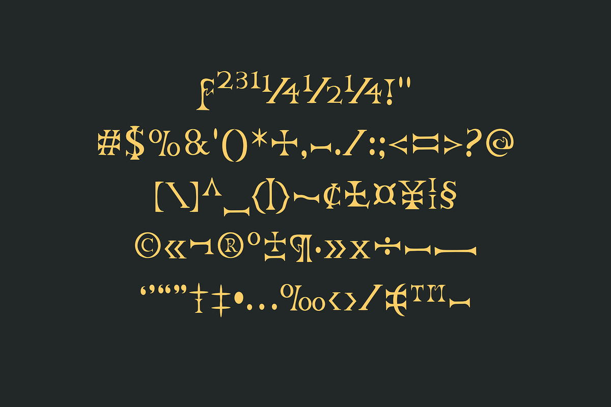 ROMANUM Serif display font, a Serif Font by WAP (Photo 4 of 4)