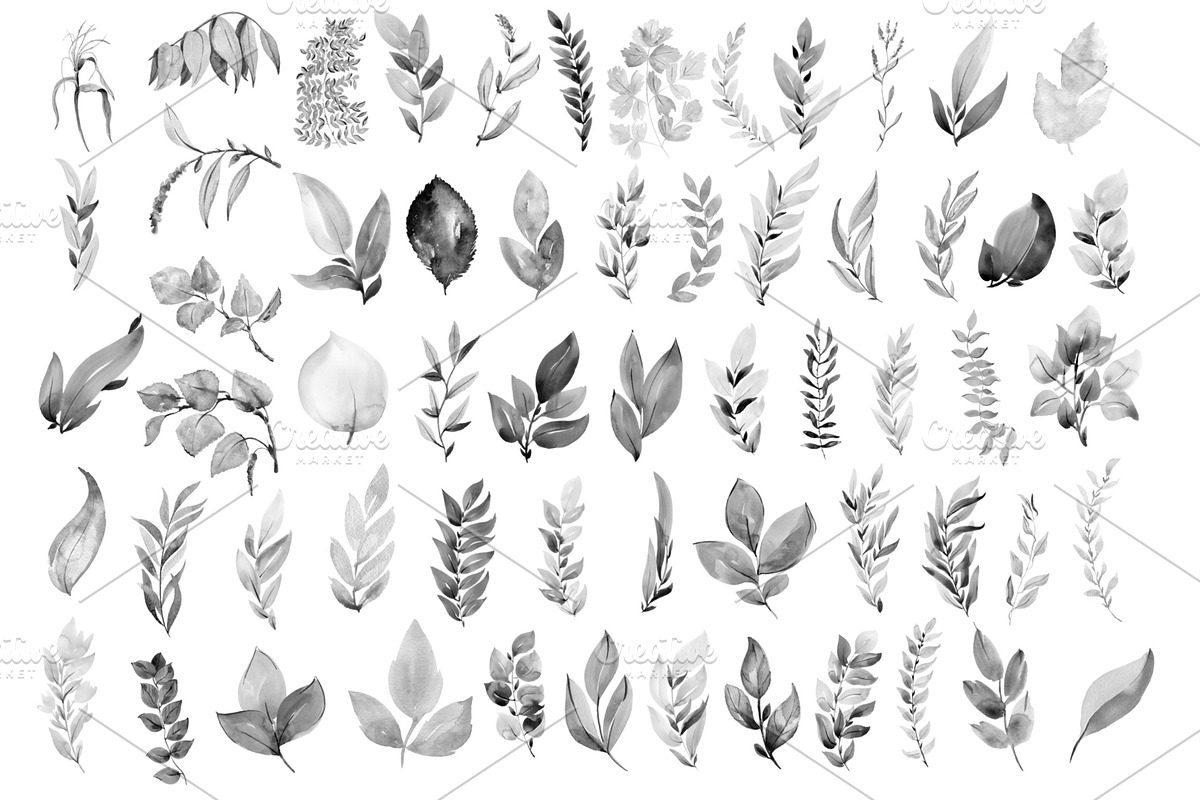 120 Watercolor brushes for photoshop, a Brush Add-On by TaPilipa (Photo 2 of 7)