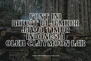 Clay Timber — Heavy Blocky Display, a Serif Font by Claymoon Lab (Thumbnail 3 of 7)