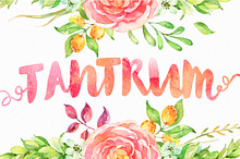 Watercolor Kit Styles + Typeface
