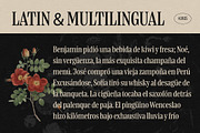 Boldentia, a Serif Font by graphicook (Thumbnail 5 of 10)