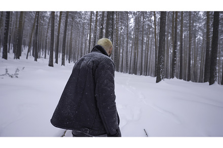 Bearded man in the winter woods, a Nature Photo by Media Whale Stock