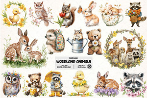 Forest Spring Woodland Animals PNG, an Illustration by Pixels.Craft