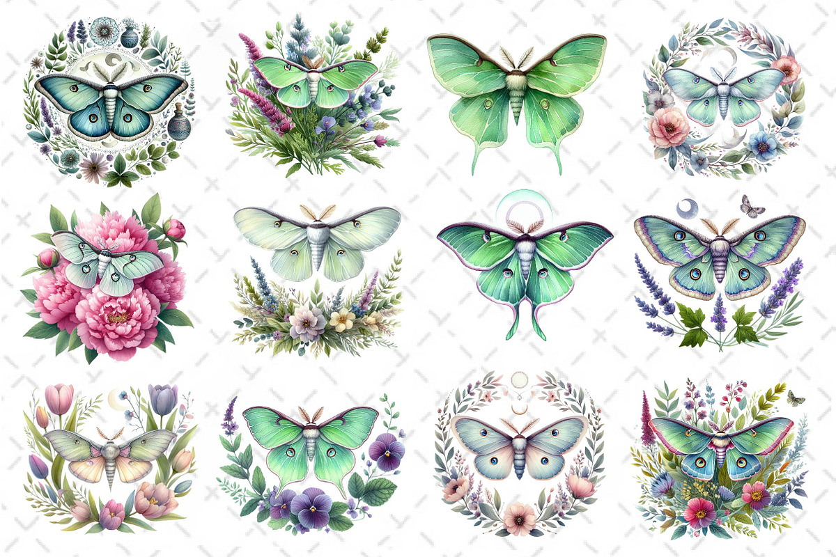 Botanical Floral Luna Moth Clipart, an Illustration by Dream Creation (Photo 4 of 4)